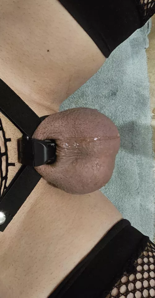 keeps getting smaller and smaller by broberts1337