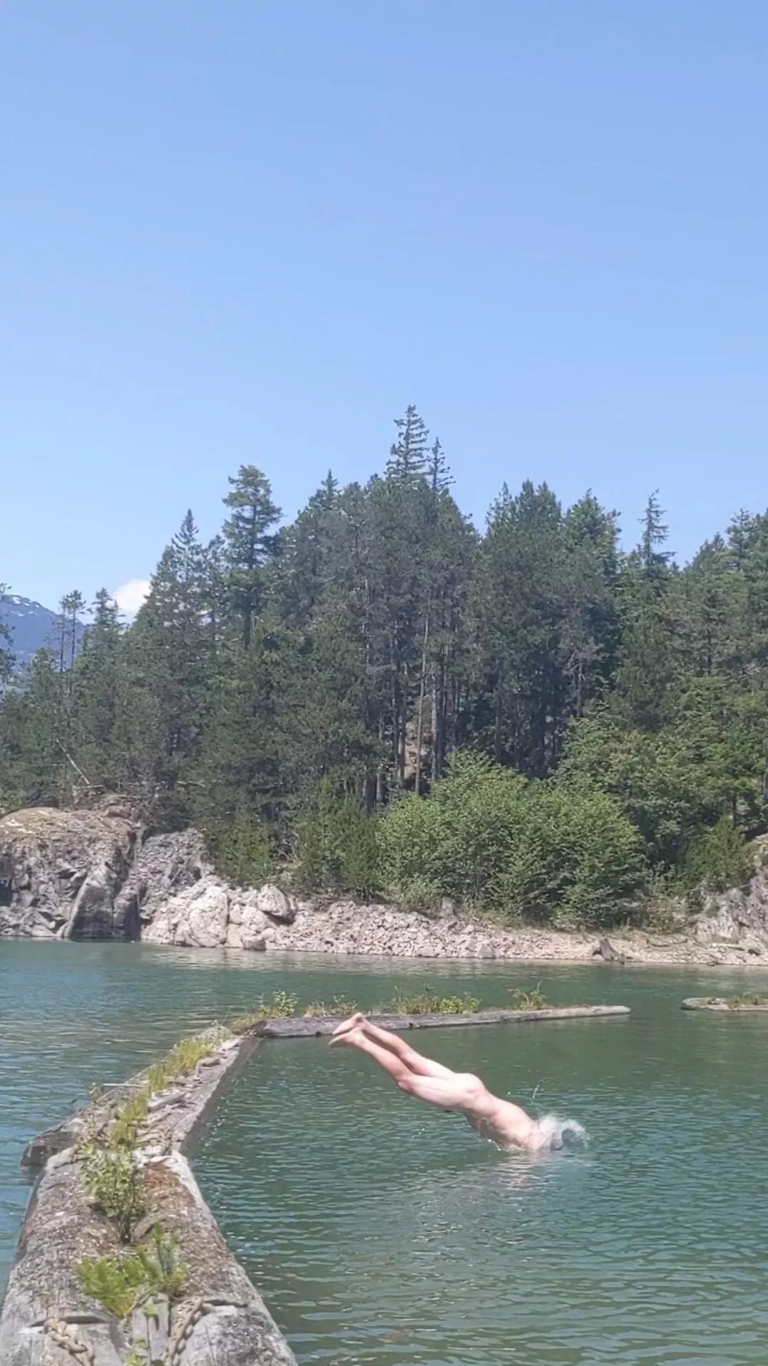 Missing summer posted by ticklishdino