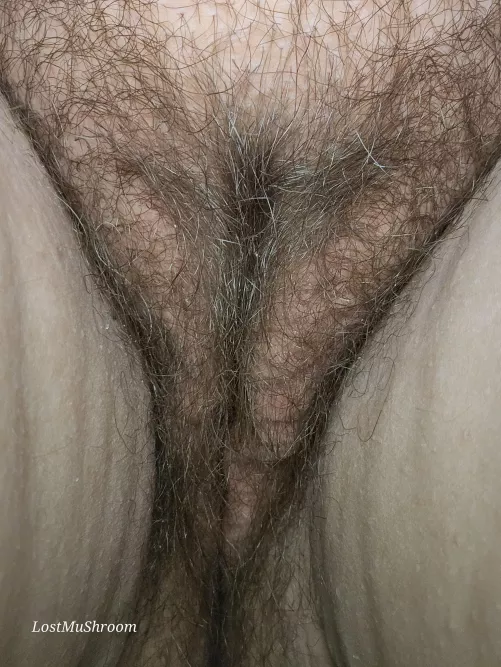 Need some pets by LostMushroomFae