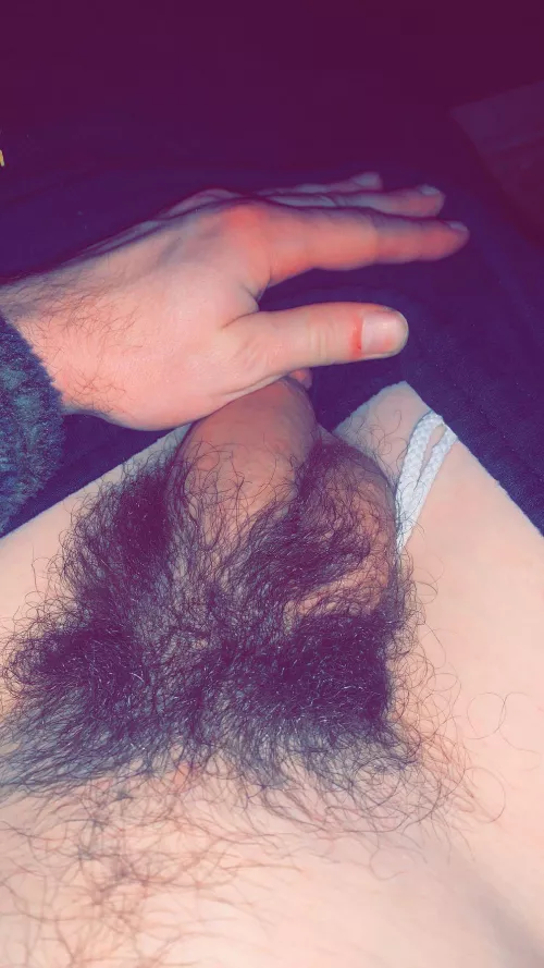 Personally, I find the look of a bush way more attractive 🥰 by slytherinwizard