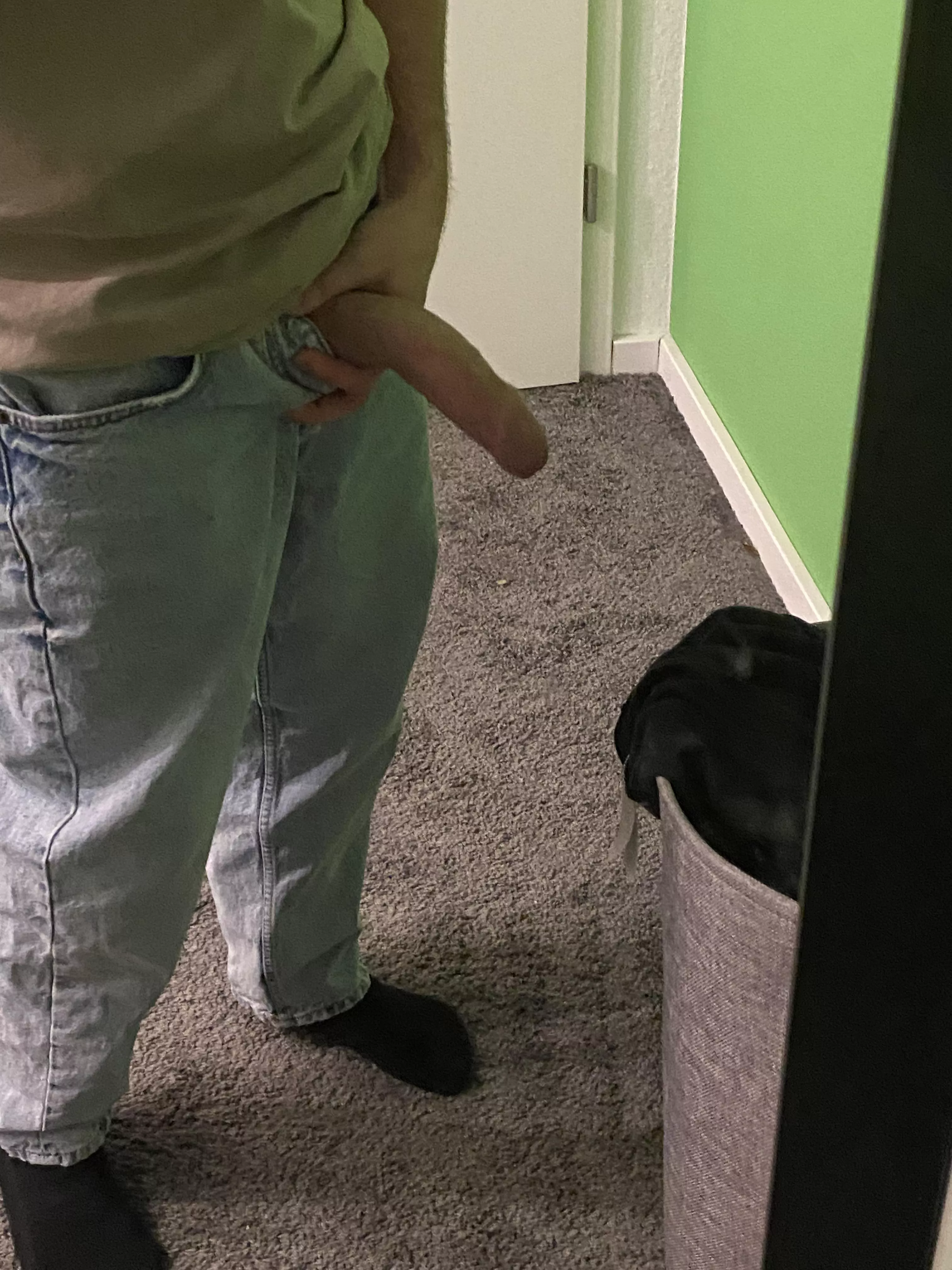 Say yes if that's hot posted by No_Reindeer_1912