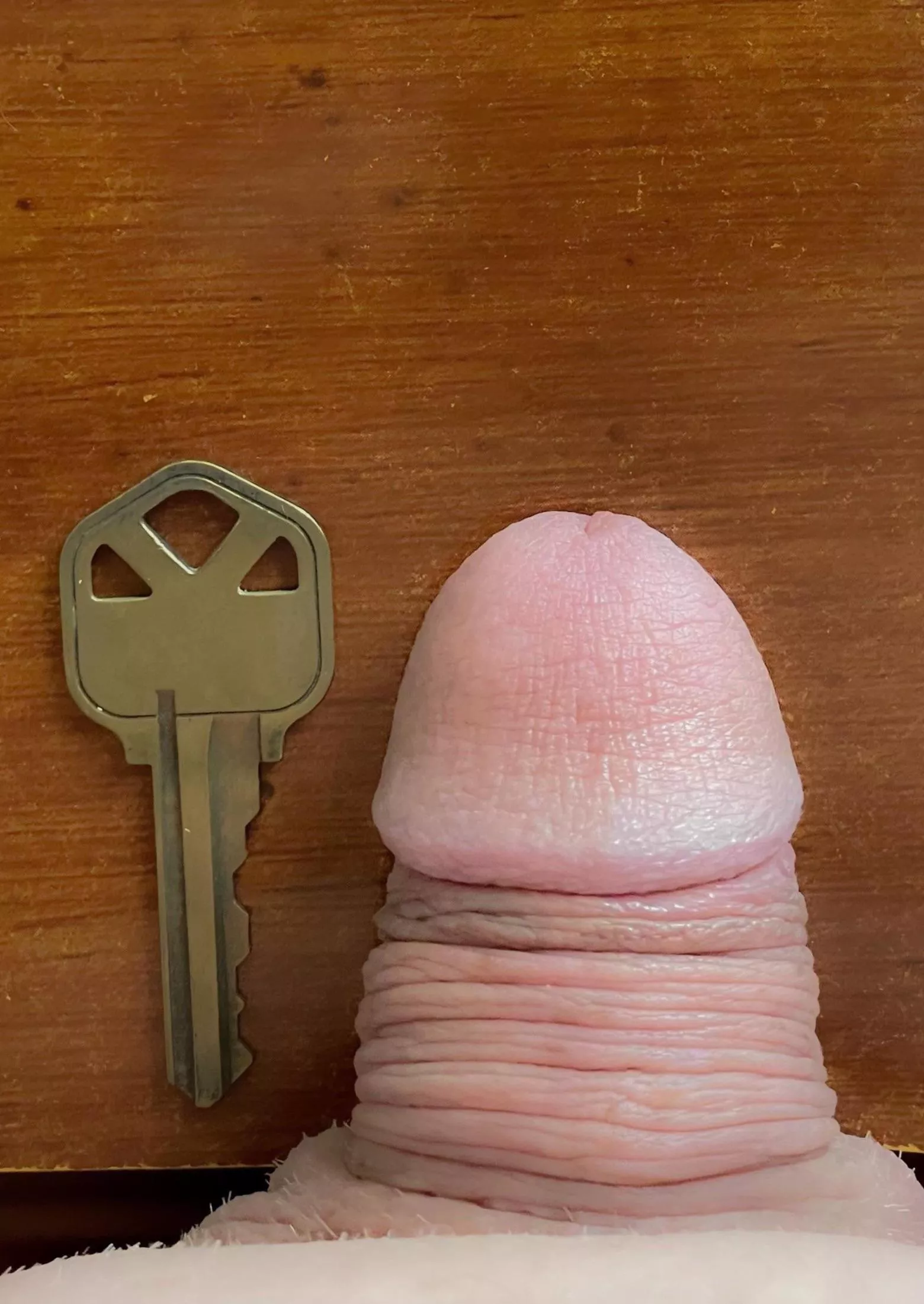 The key to being tiny is being tiny! 😁🔑 posted by Tiny_Dick_Fan_Club