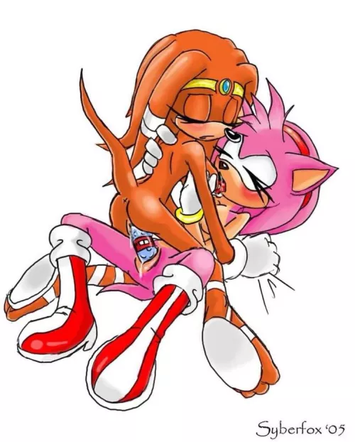 Tikal The Echidna and Amy Rose (syberfox) by TheSecretNaame