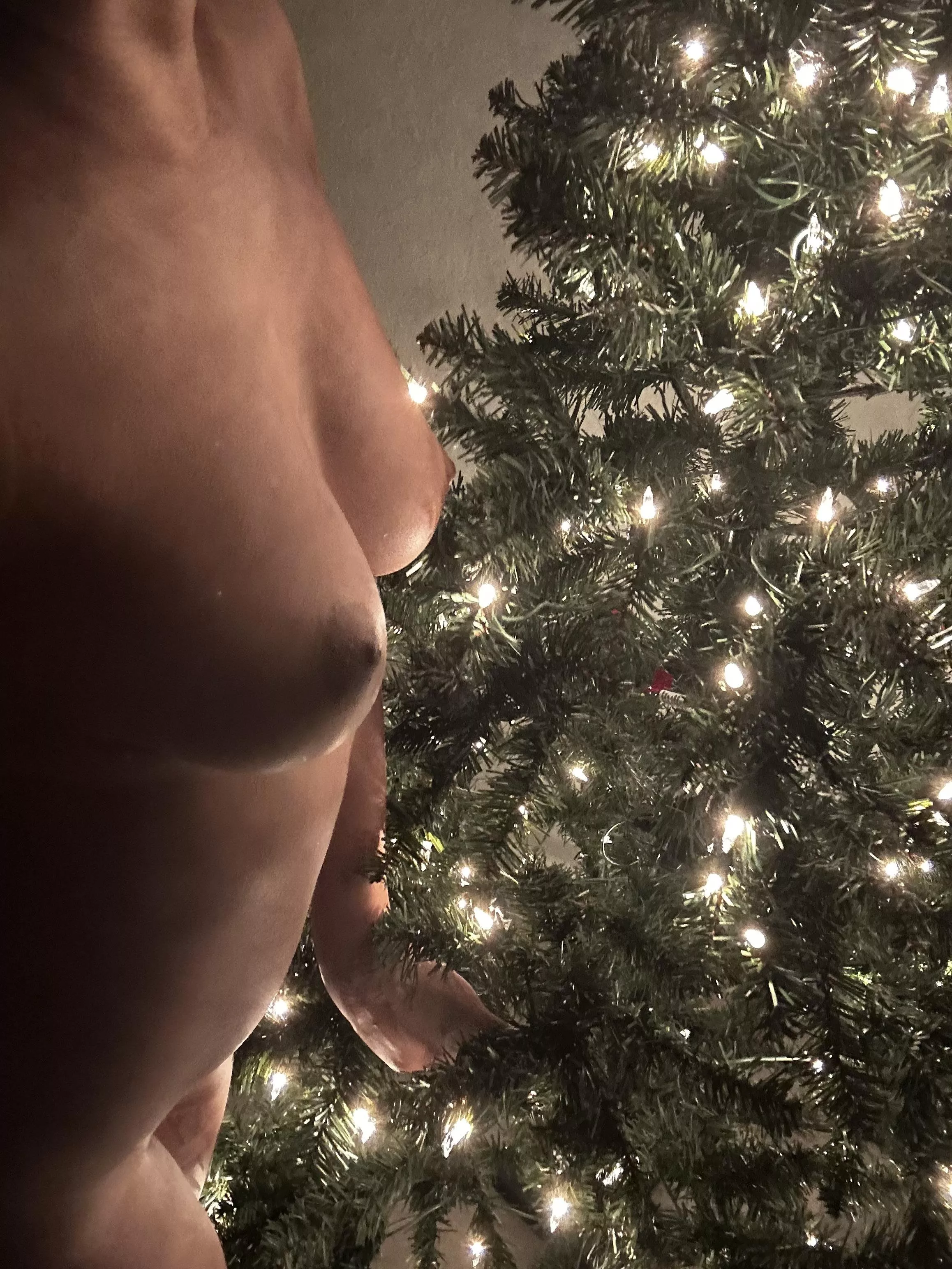 Tis’ the boobies posted by Somethingwithpurple