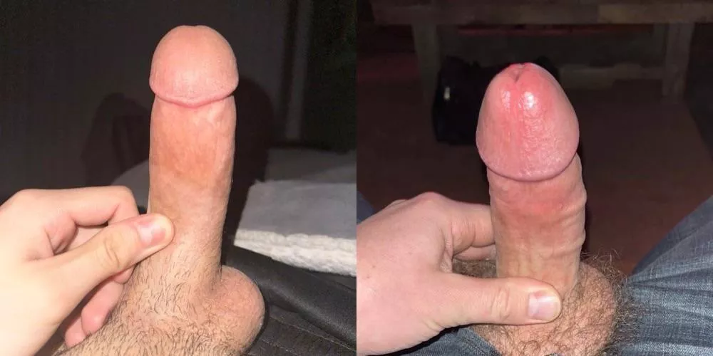 Which Cock would you rather , Left or Right? posted by Powerful_Project195