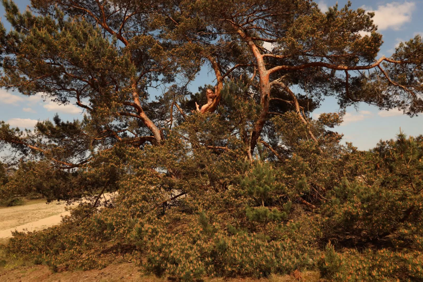 Can you see me? Haha posted by Rileyjademodel