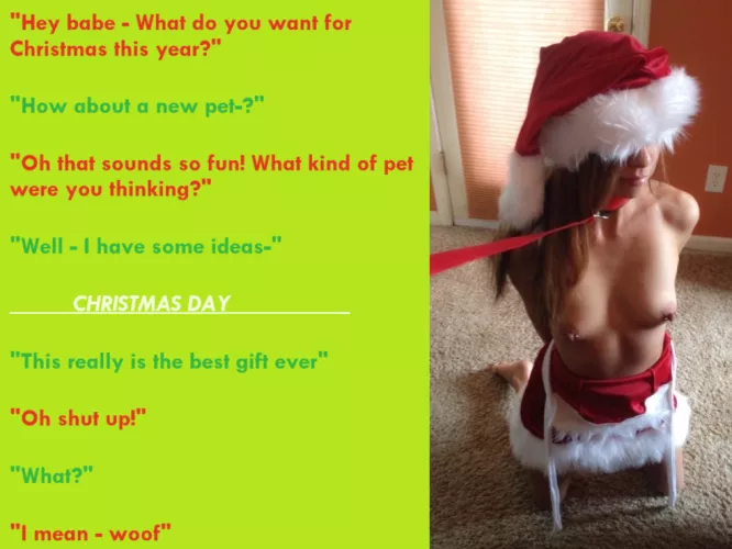 CHRISTMAS - Your GF asked what you wanted as a gift for the holidays. You told her a pet - you didnt specify the kind of pet though by The-Over-Looker