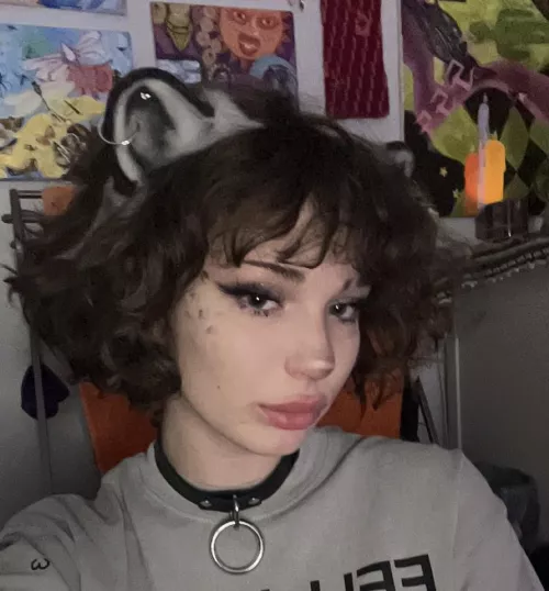 collared snow leopard by realmkitten