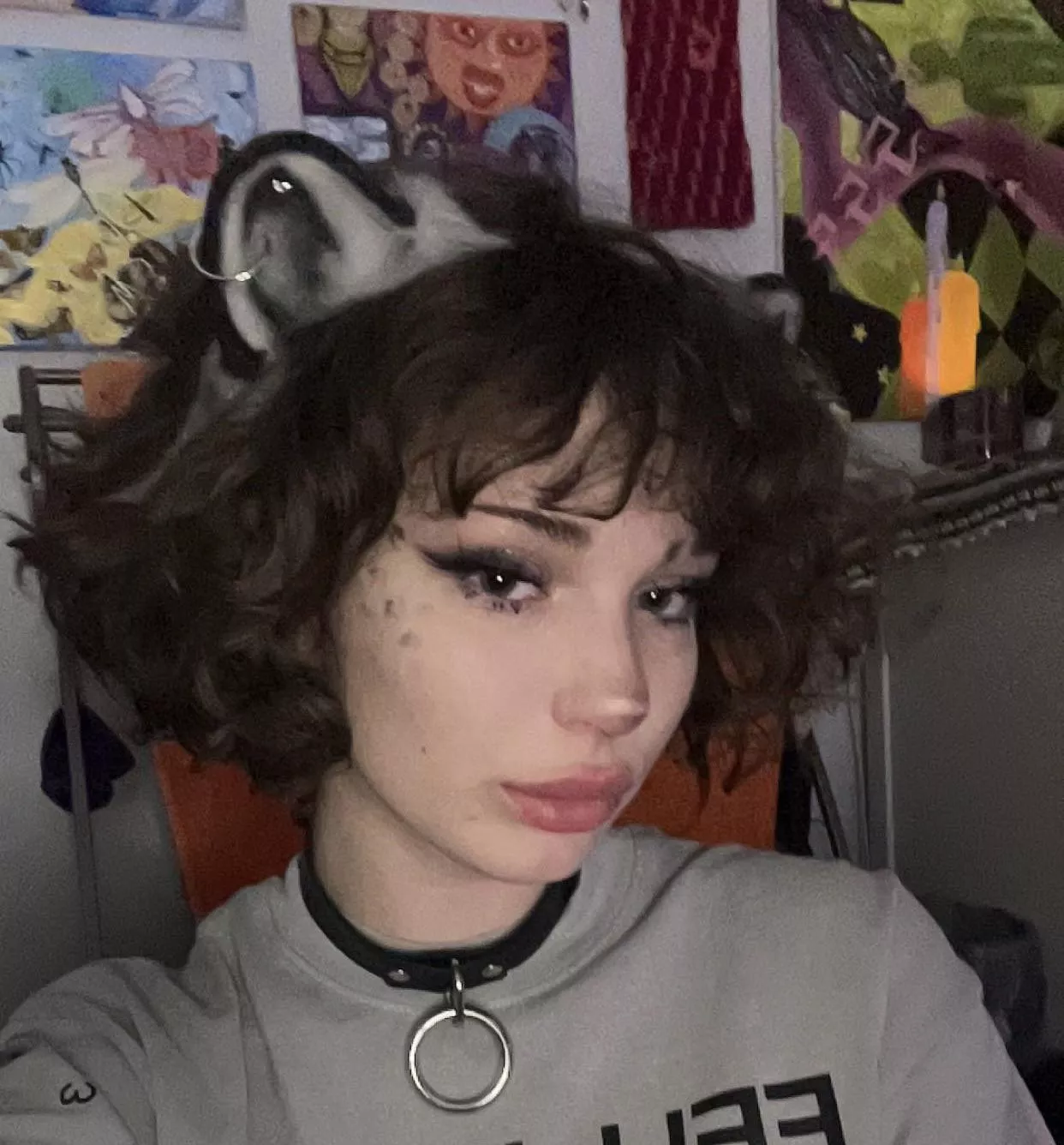 collared snow leopard posted by realmkitten