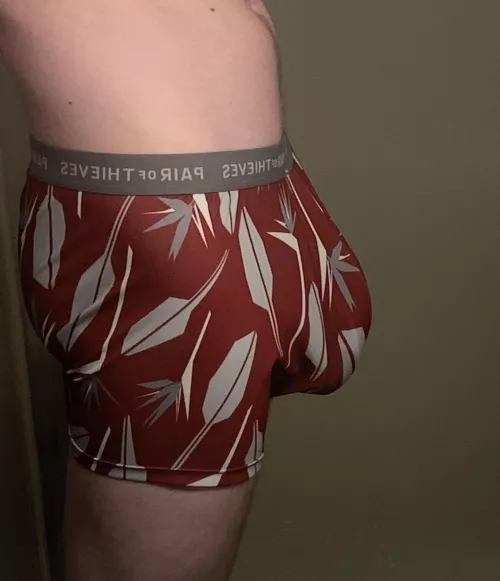 DMs Open by Electronic-Test-1376