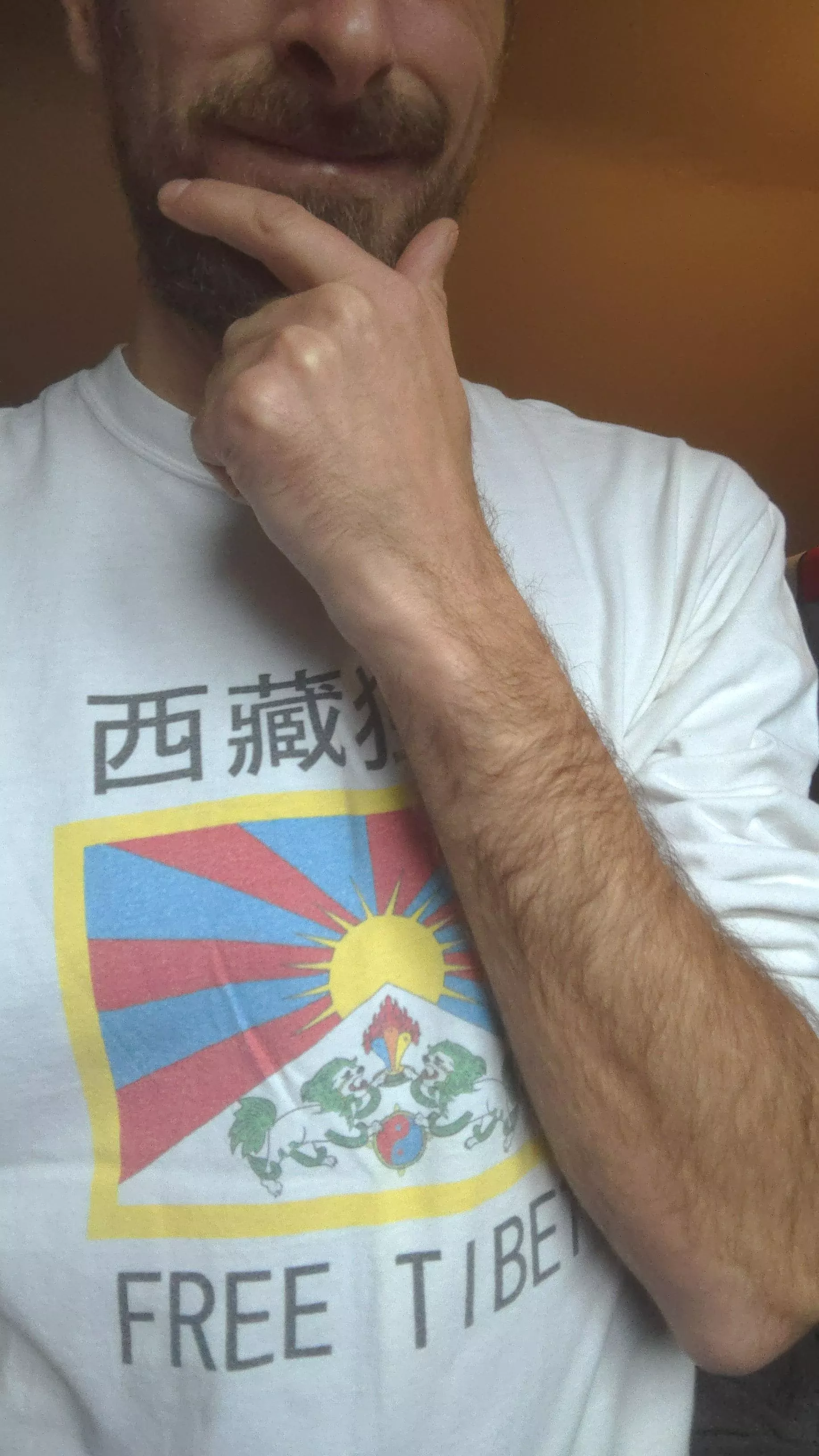 Free Tibet! posted by Yugoogli