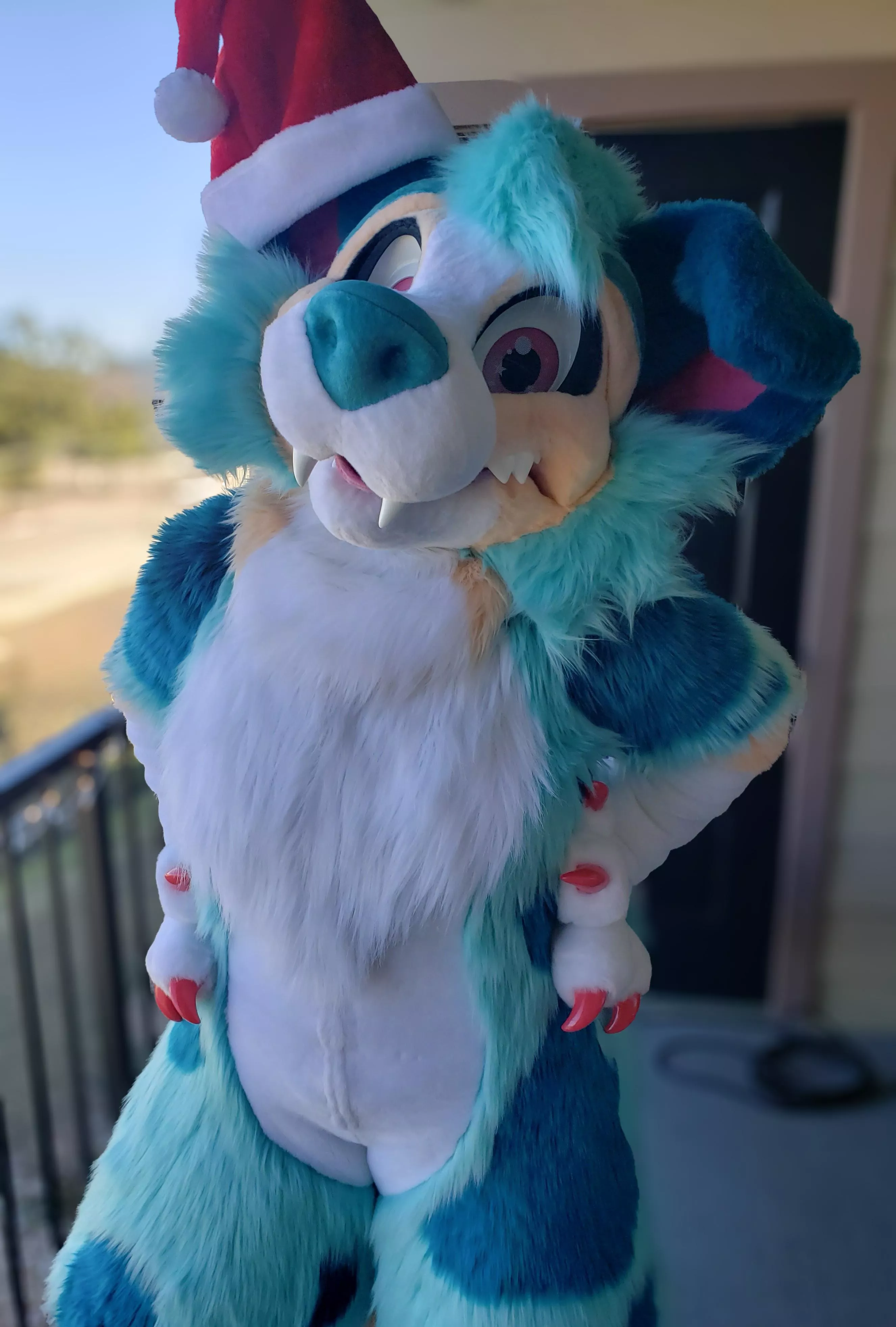 Have any holiday plans? posted by dragonsapphic