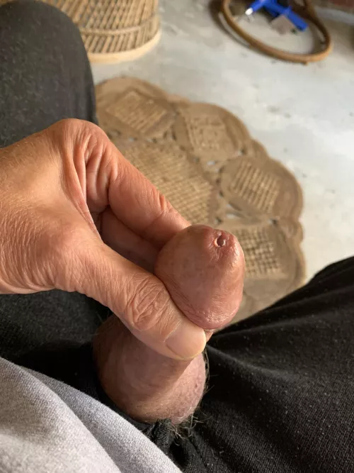 Heads all shiny with precum and more cumming out by lookn4bear