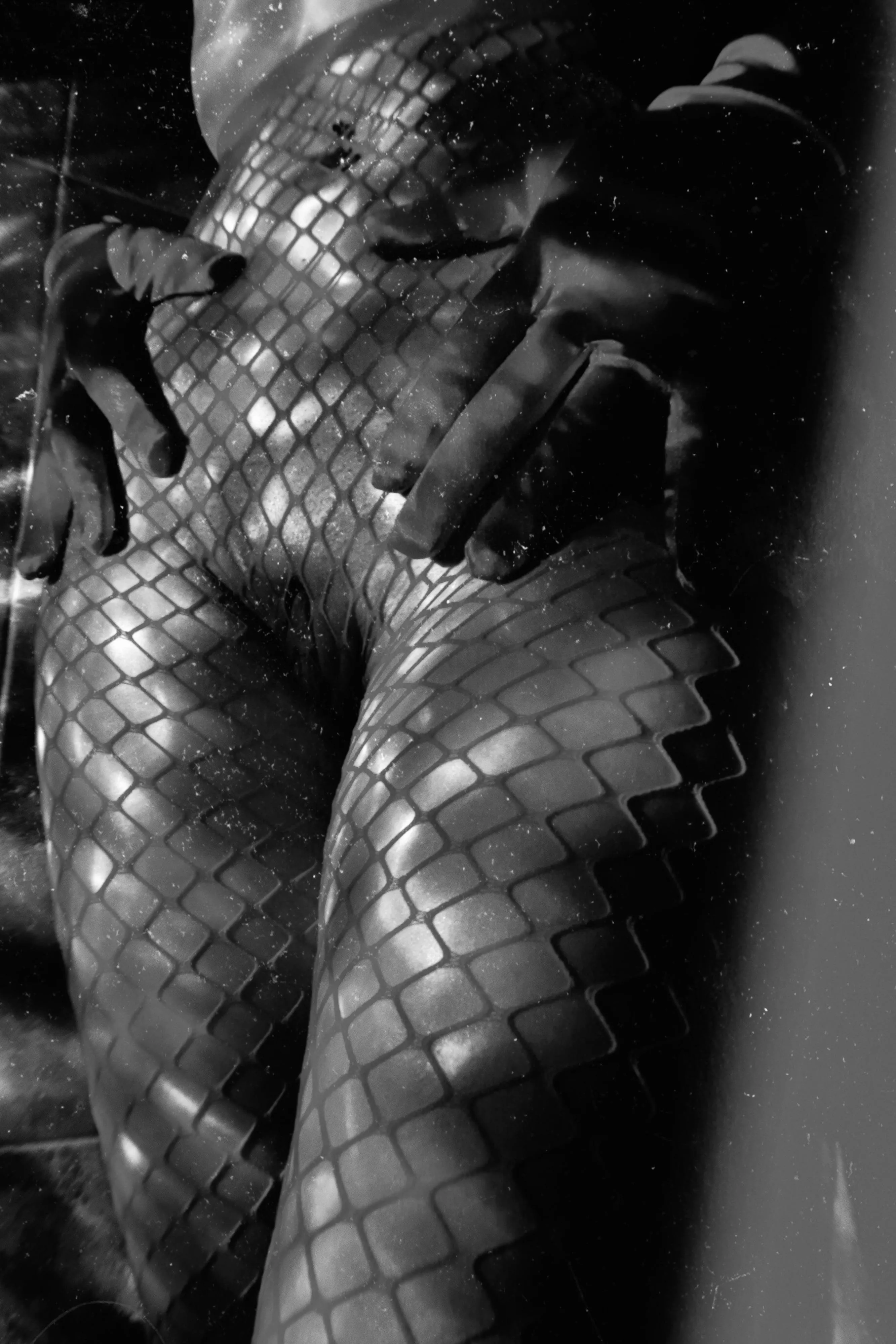 Hiding in the shadows [OC] posted by eroticaxveronica