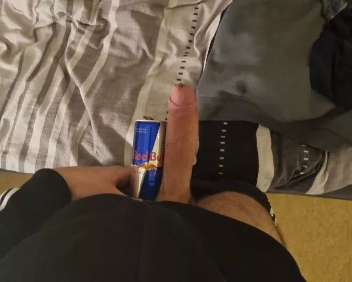 horse hung german posted by HungNico