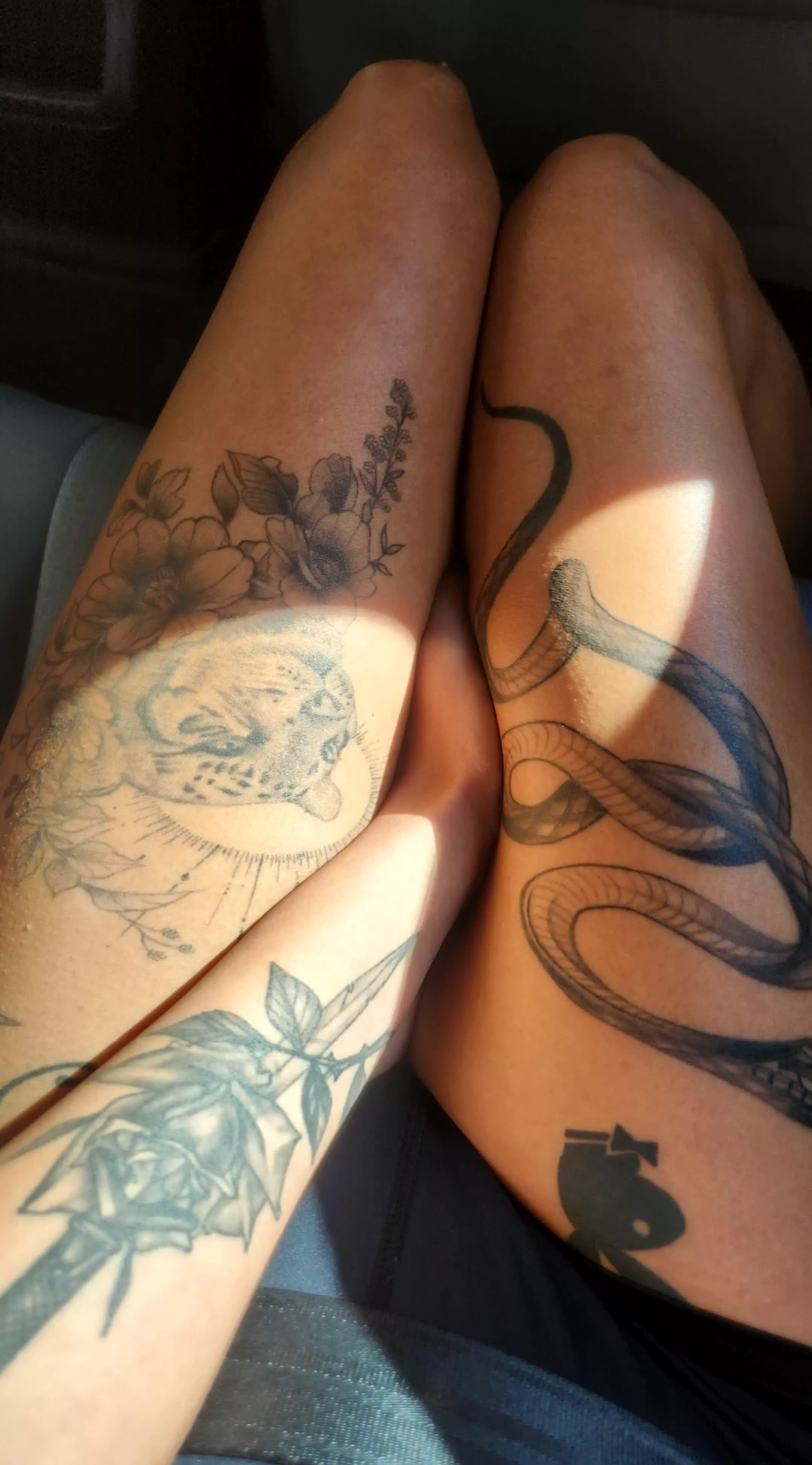 If u like my legs imagine how youd like my pussy daddy posted by Layla_Goddess