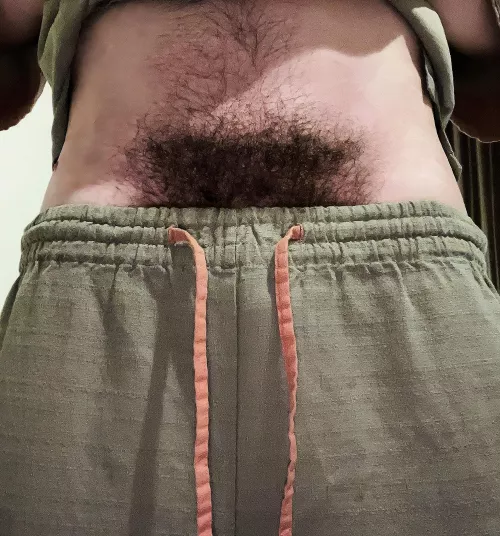 Is my bush thick enough? by OkEffort8949