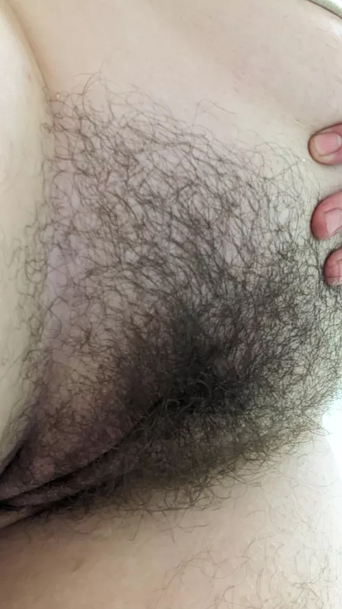 I've been growing it out since April by dumbtchcocktail