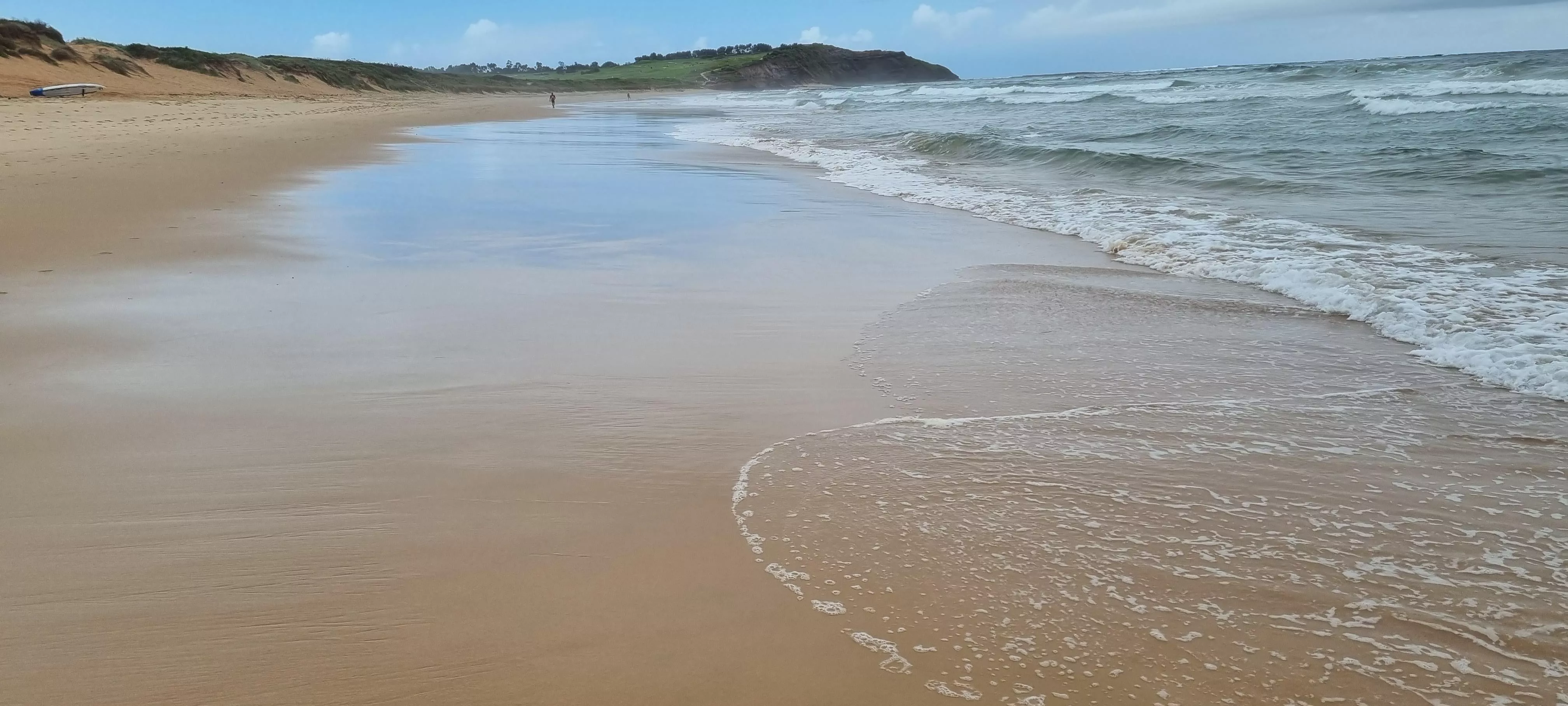 Long Reef Beach, Sydney NSW Australia posted by Leather_Ad_5602