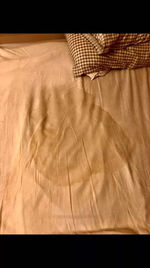 My bed looked like this when I woke up by EnvironmentalLow622