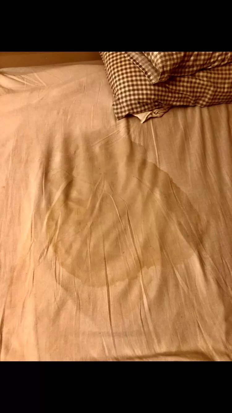 My bed looked like this when I woke up posted by EnvironmentalLow622