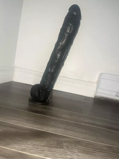 My favourite toy😈 17” by bob8stR