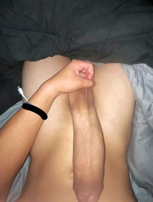 past my belly button😵‍💫😵‍💫 by halhorsedree