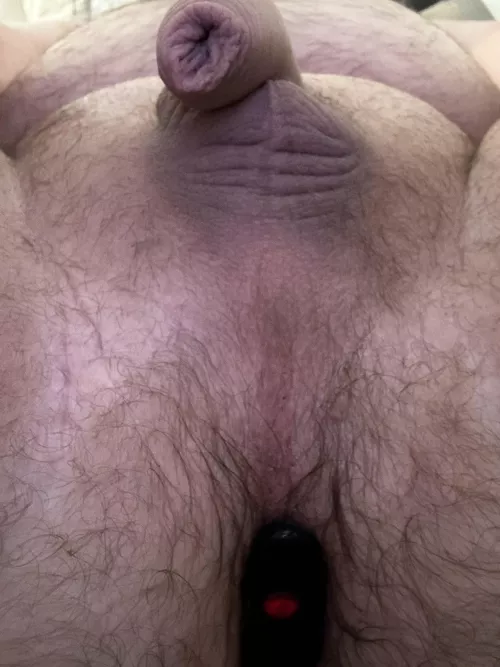 Playing with my hush by forchatsonly