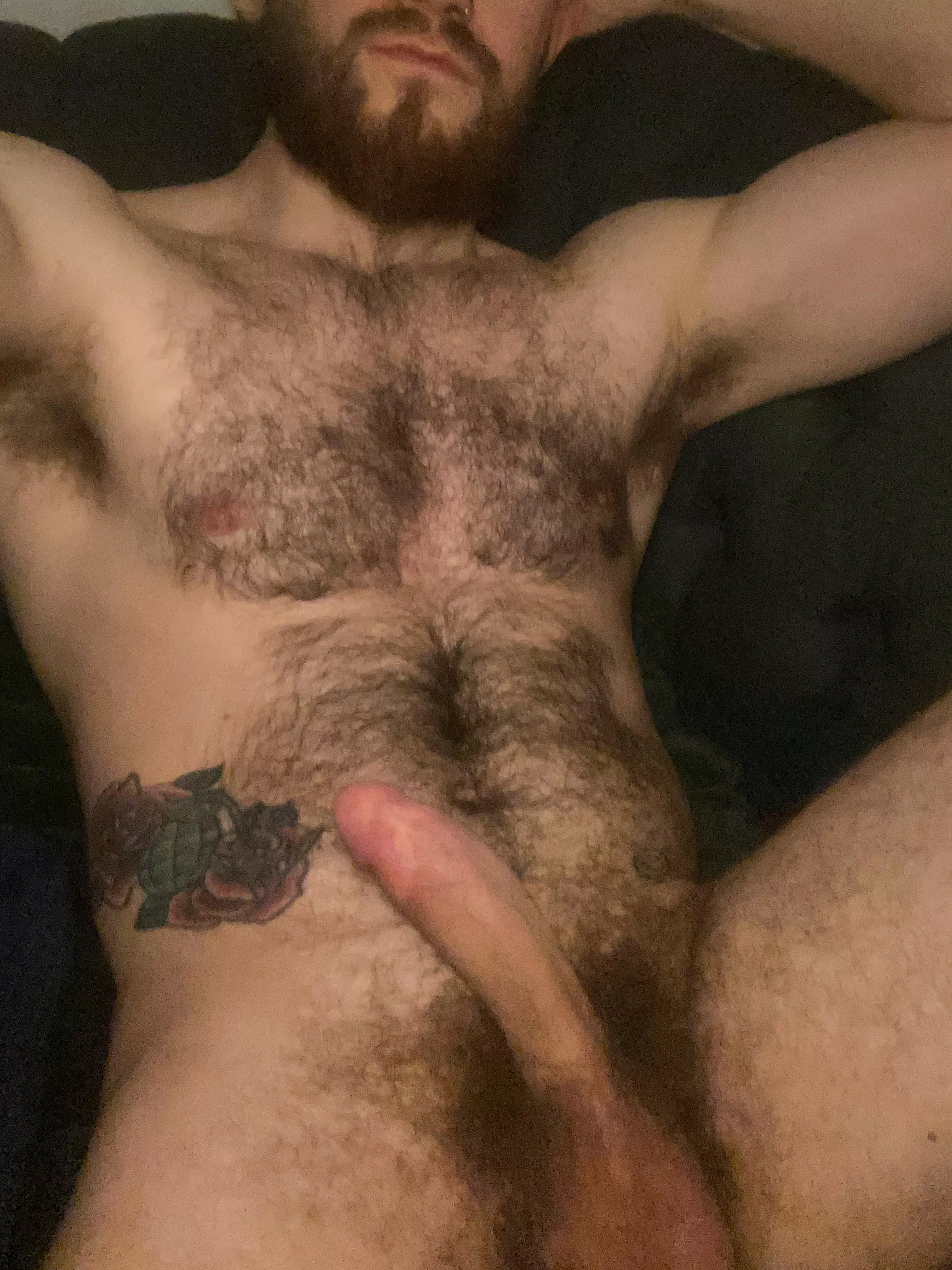 Should I keep the pubes going or shave?? posted by UnholyEllis