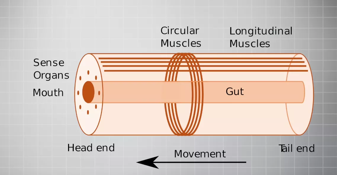 The ideal partner posted by GnoblinRed
