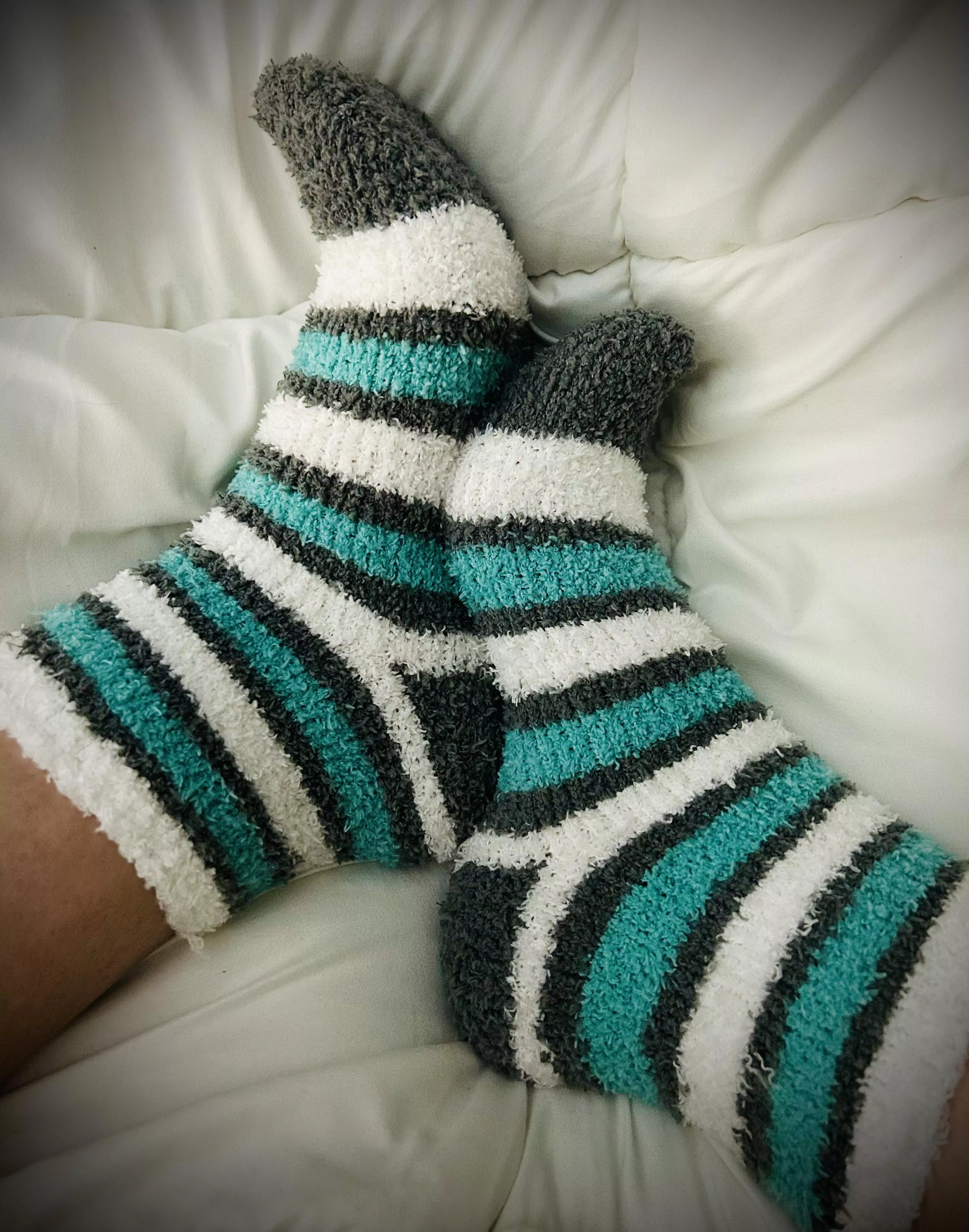 The softest, cutest thing you’ll see tonight. Snuggling in my bed where you wish you could be. posted by Farmgirlfeet81