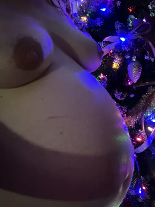 Tree is up!! How’d we do?? 😋😋😘😘 OC by Elysa_Rose7