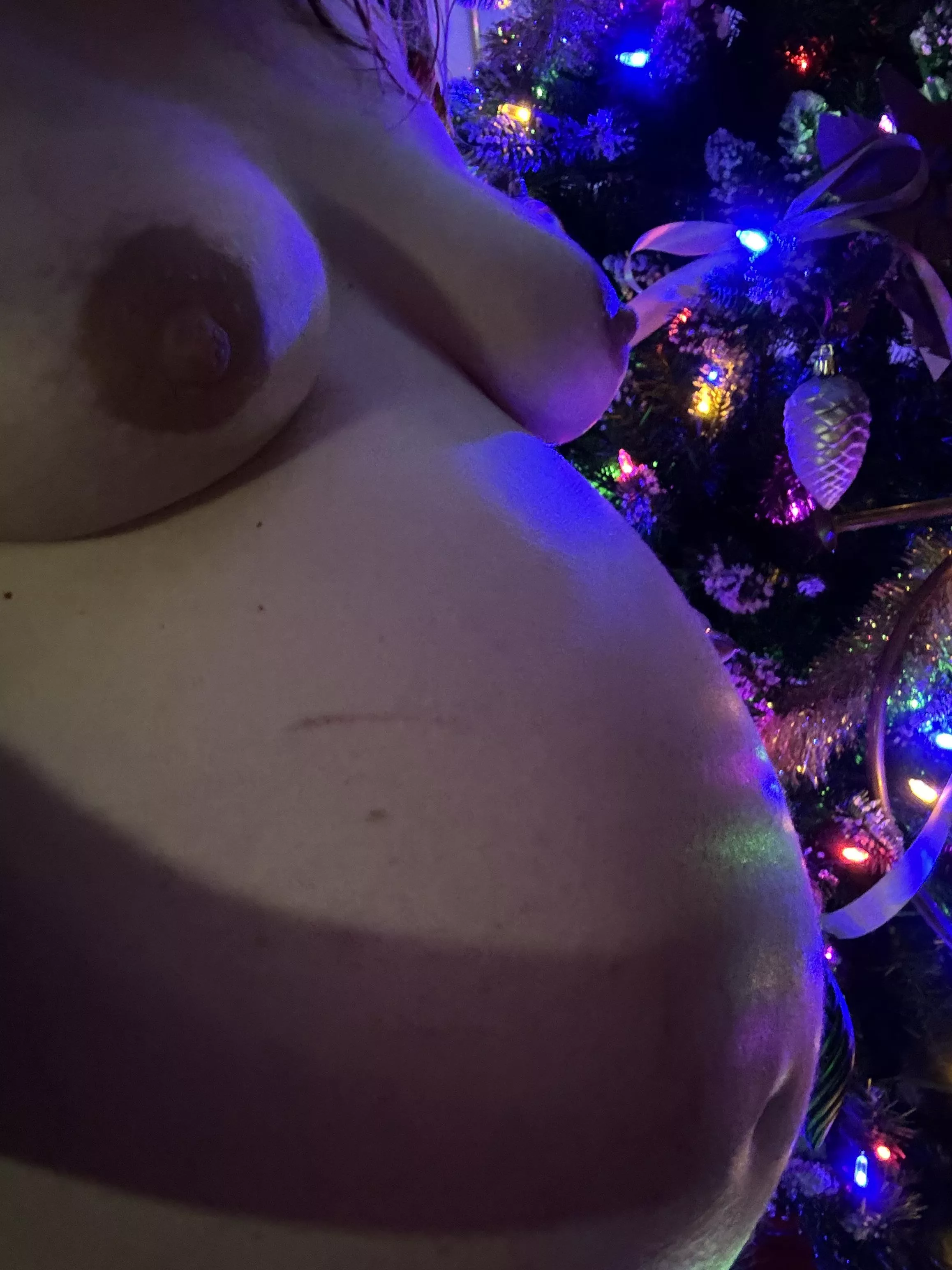 Tree is up!! How’d we do?? 😋😋😘😘 OC posted by Elysa_Rose7