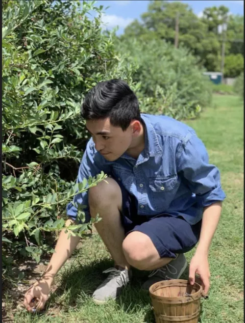 Went blueberry picking recently by NoBag8499