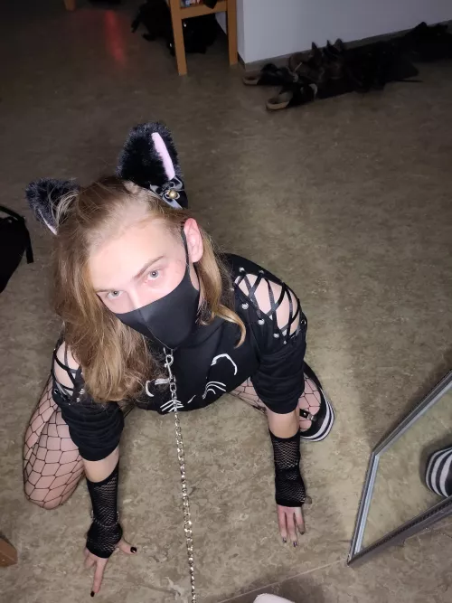 Would you take your Kitten for a walk? by NaKin969