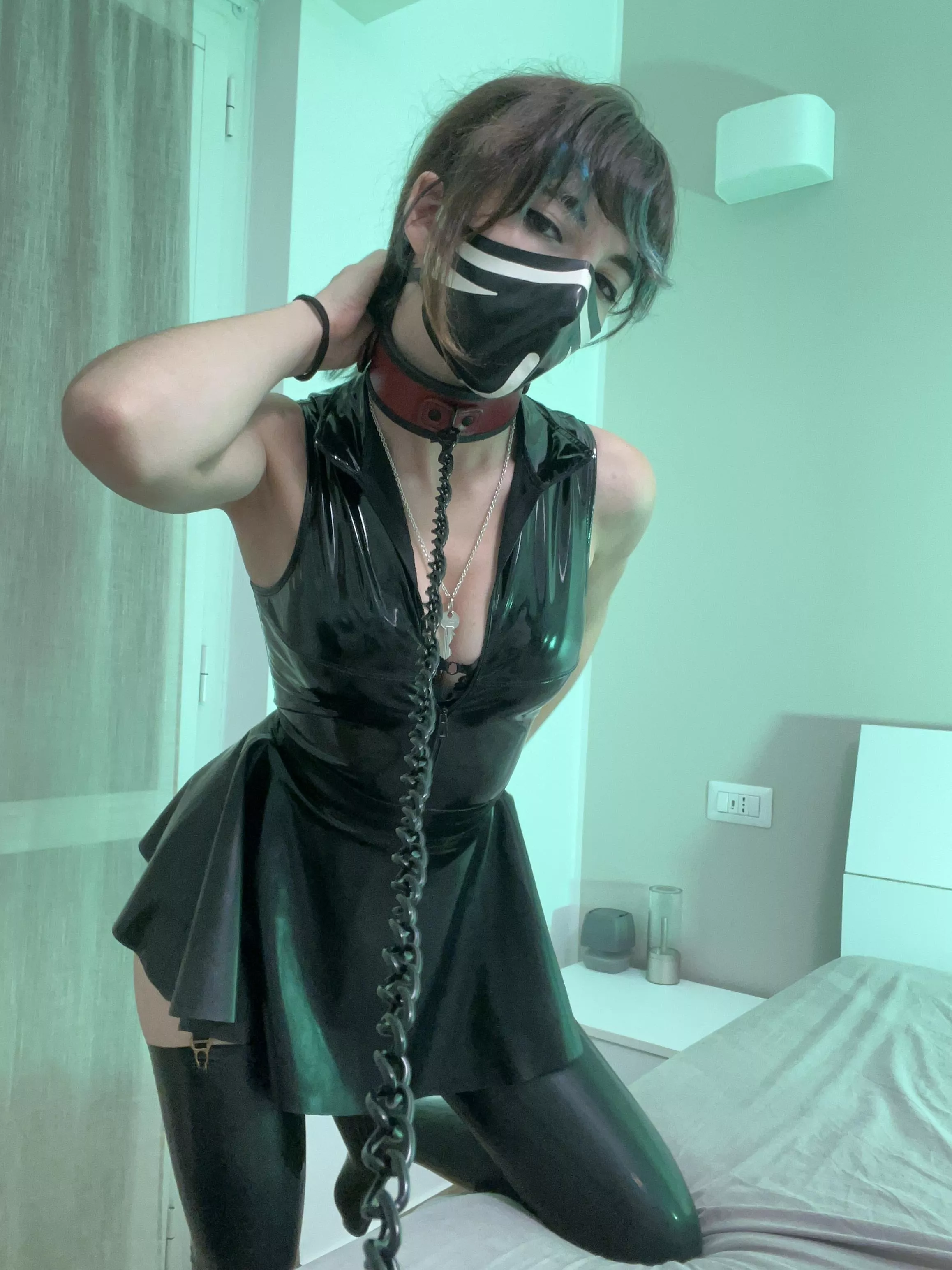 You'll have to work a lot harder if you want to tame me posted by poisonevel