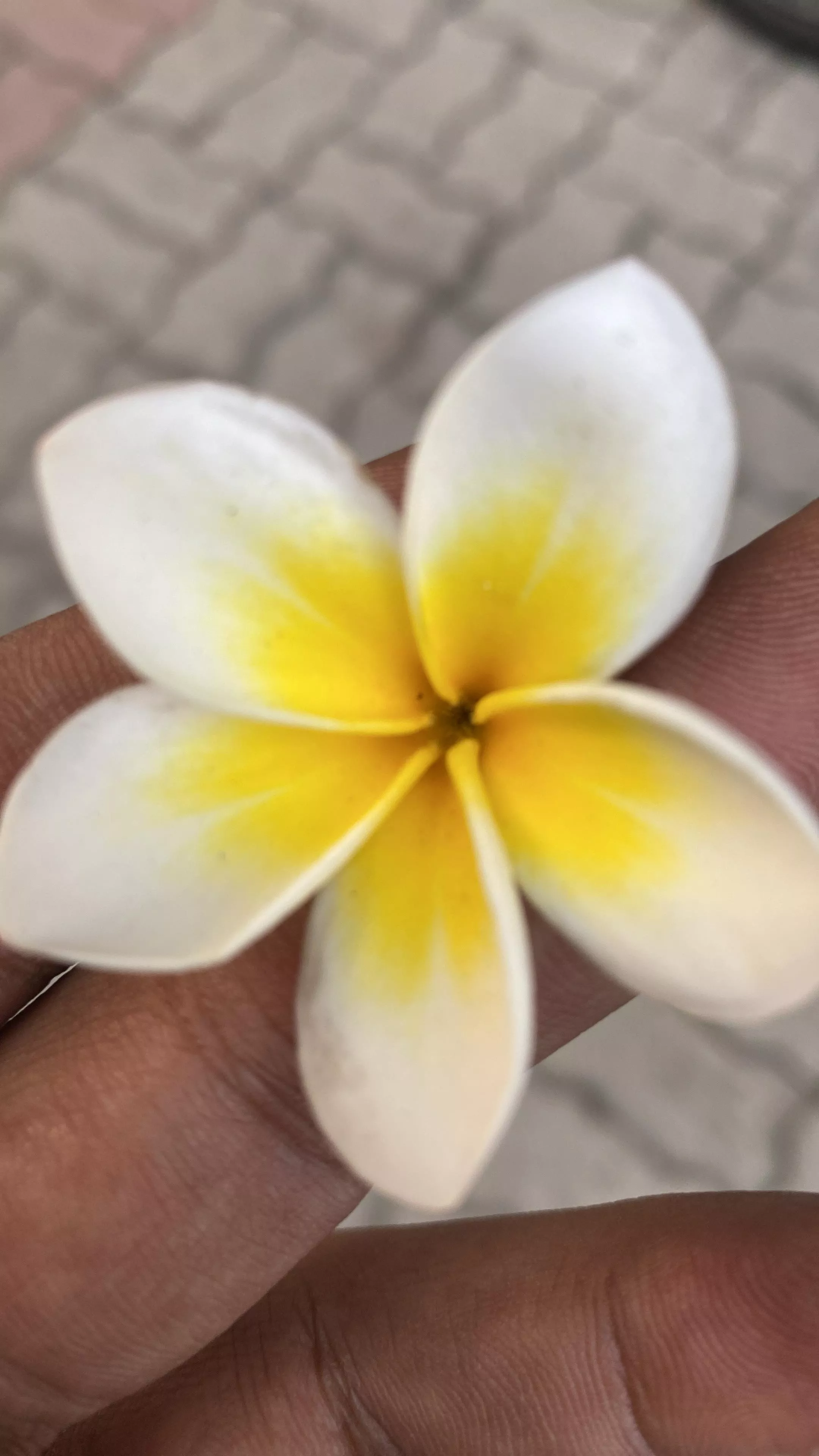 6 is small? posted by CallPlastic3521