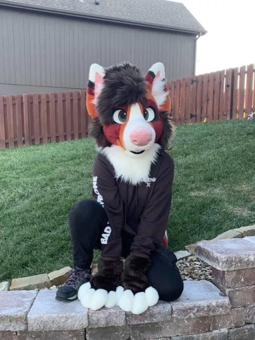 barks at u!! [suit by radpandaUK] by puppitoys