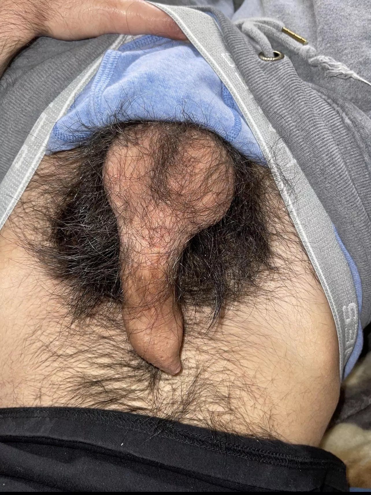 Been a while since I’ve been on here, hope y’all still like pubes posted by Unretractable001