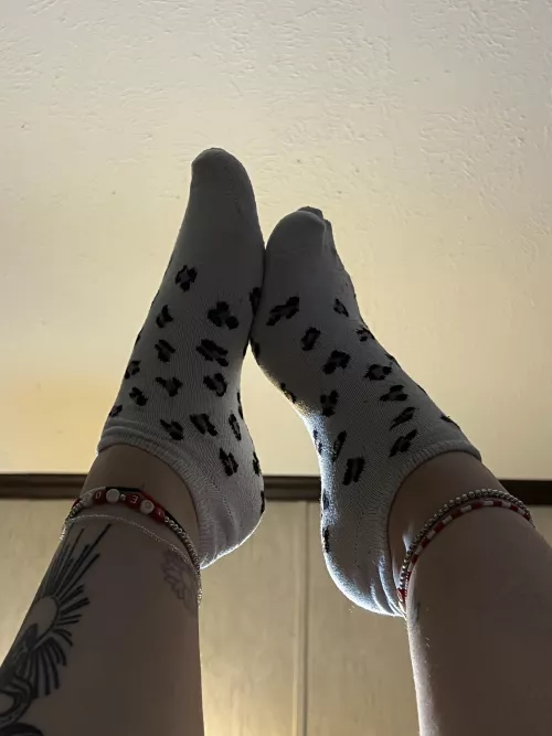 Day 1 of 5 for these bad boys🥵 by Ill_Establishment688