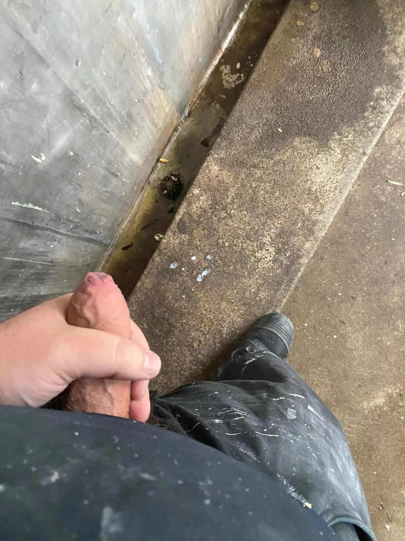 If you stopped scrolling you owe me a blowjob posted by Nathanplaysnz