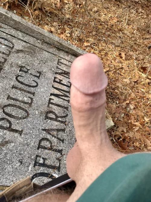 Is this public enough? by Early_Sea5828