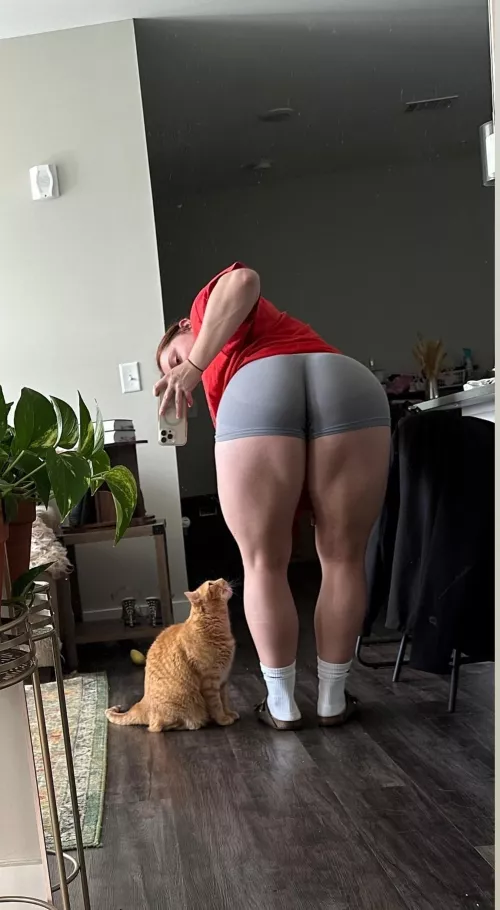 Luv Hammie Checks by Macboney440