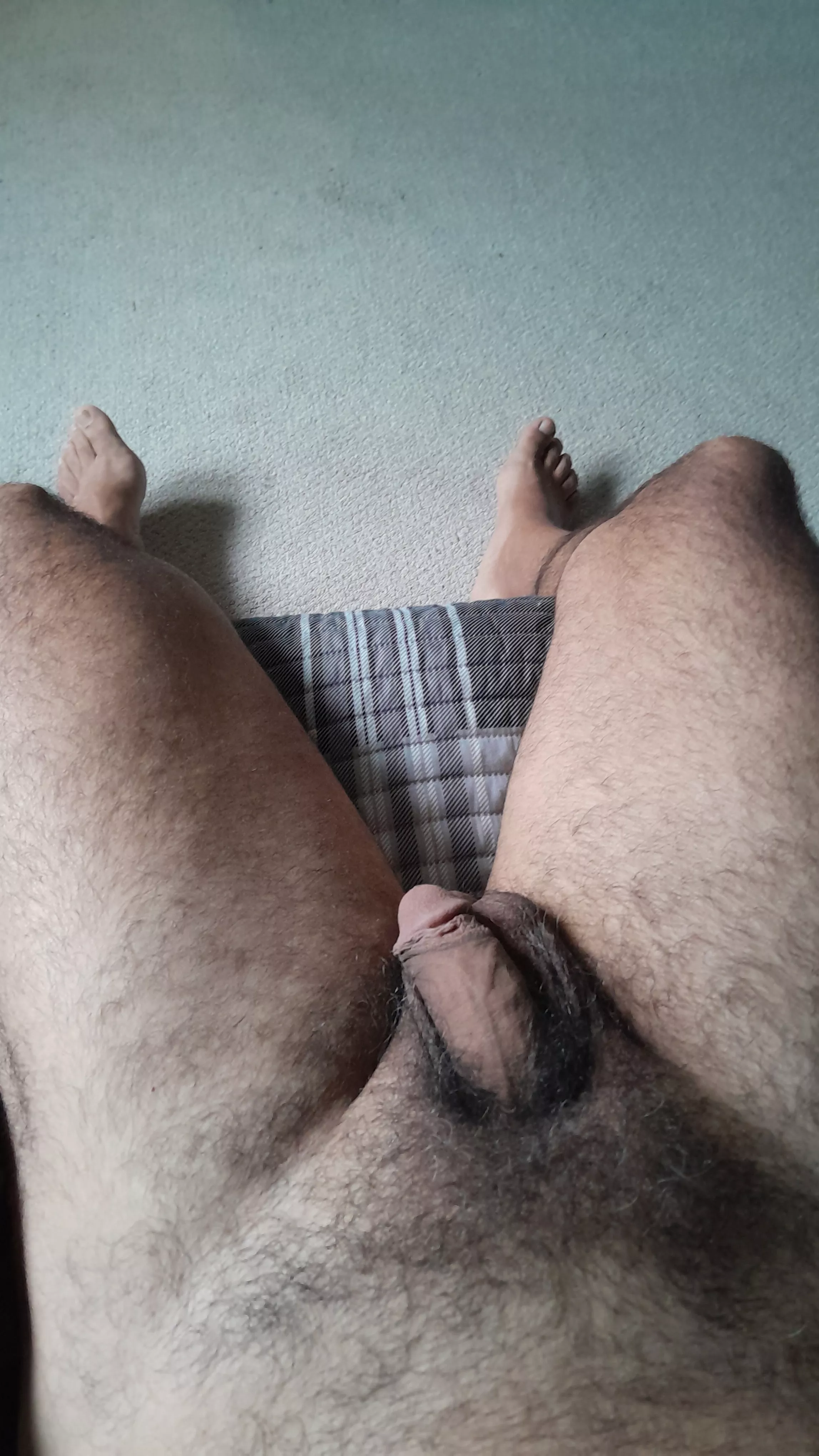 Me and my 50 YO pubes. Does anybody find it sexy? posted by bearcanmx