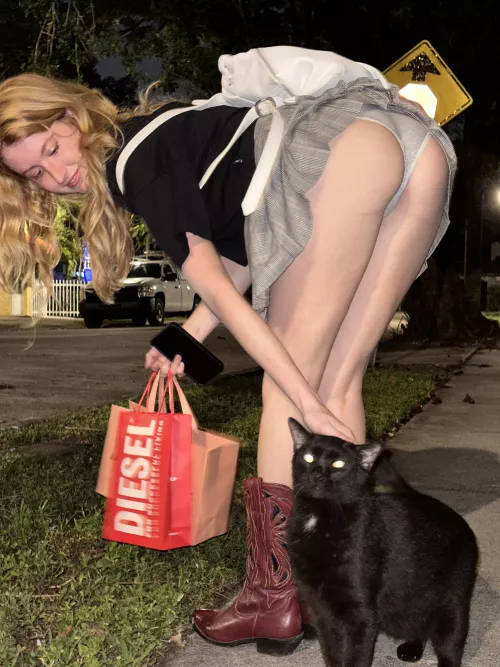 Not sure which is more cute by Innocentlypurreee