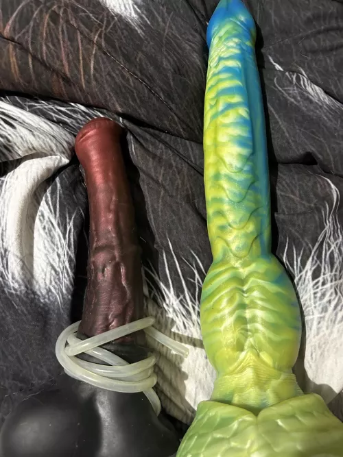 Size comparison of bd med chance and naw xl river dragon by IndependenceNo9833