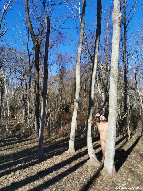 Sunlight and a lack of wind may actually allow one to forget that it's December and all the trees (and me) are bare! ☺️ by NudeLeaseOnLife