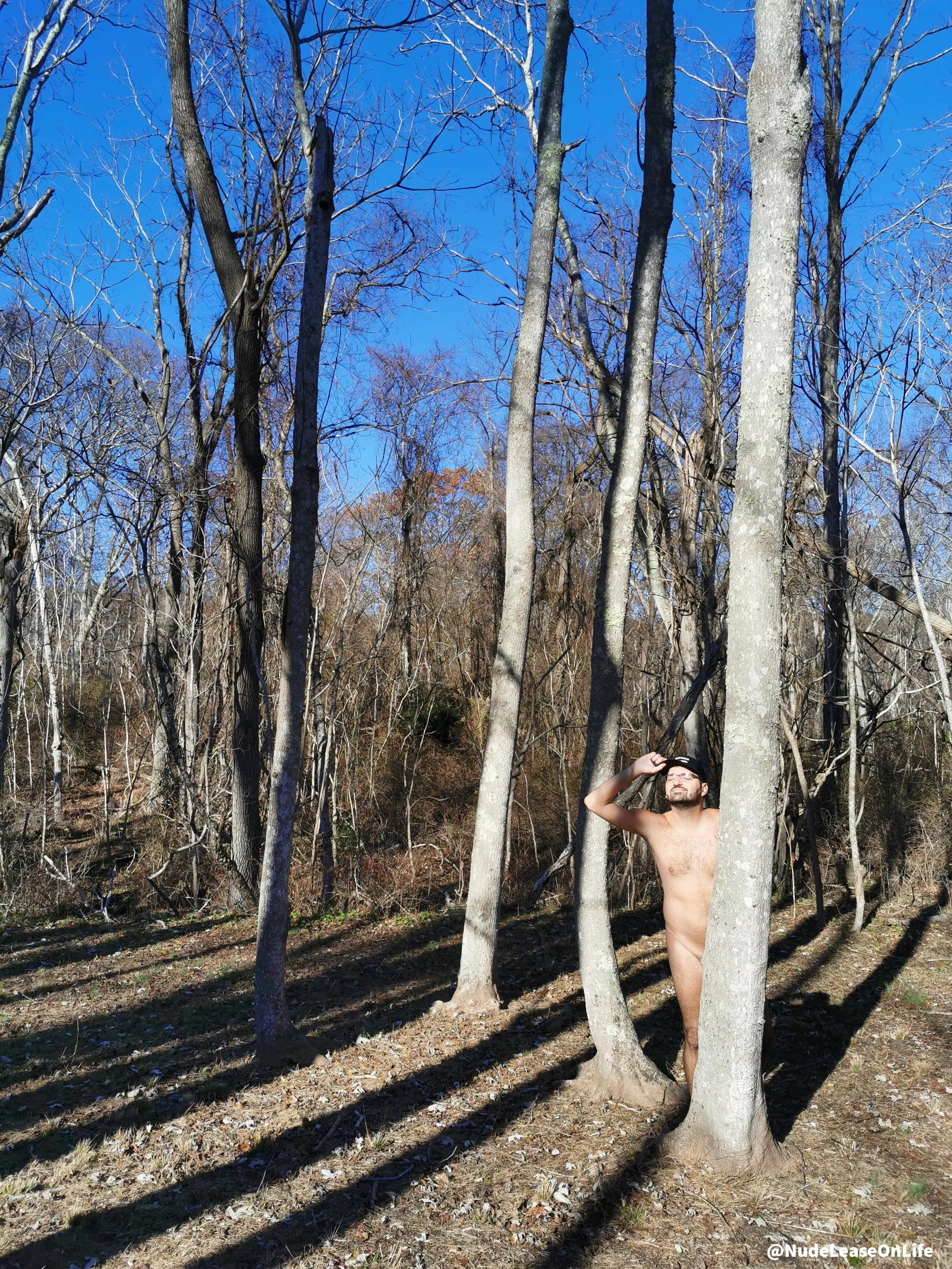 Sunlight and a lack of wind may actually allow one to forget that it's December and all the trees (and me) are bare! ☺️ posted by NudeLeaseOnLife