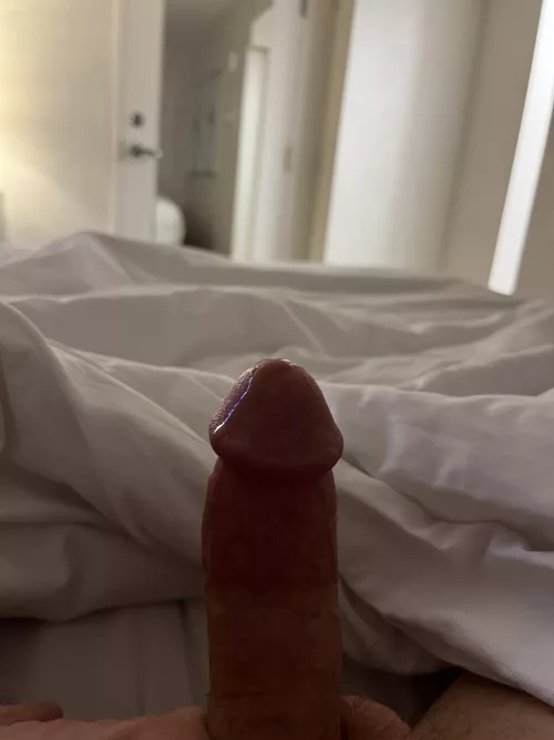 Tastes sweet by tyscott0092