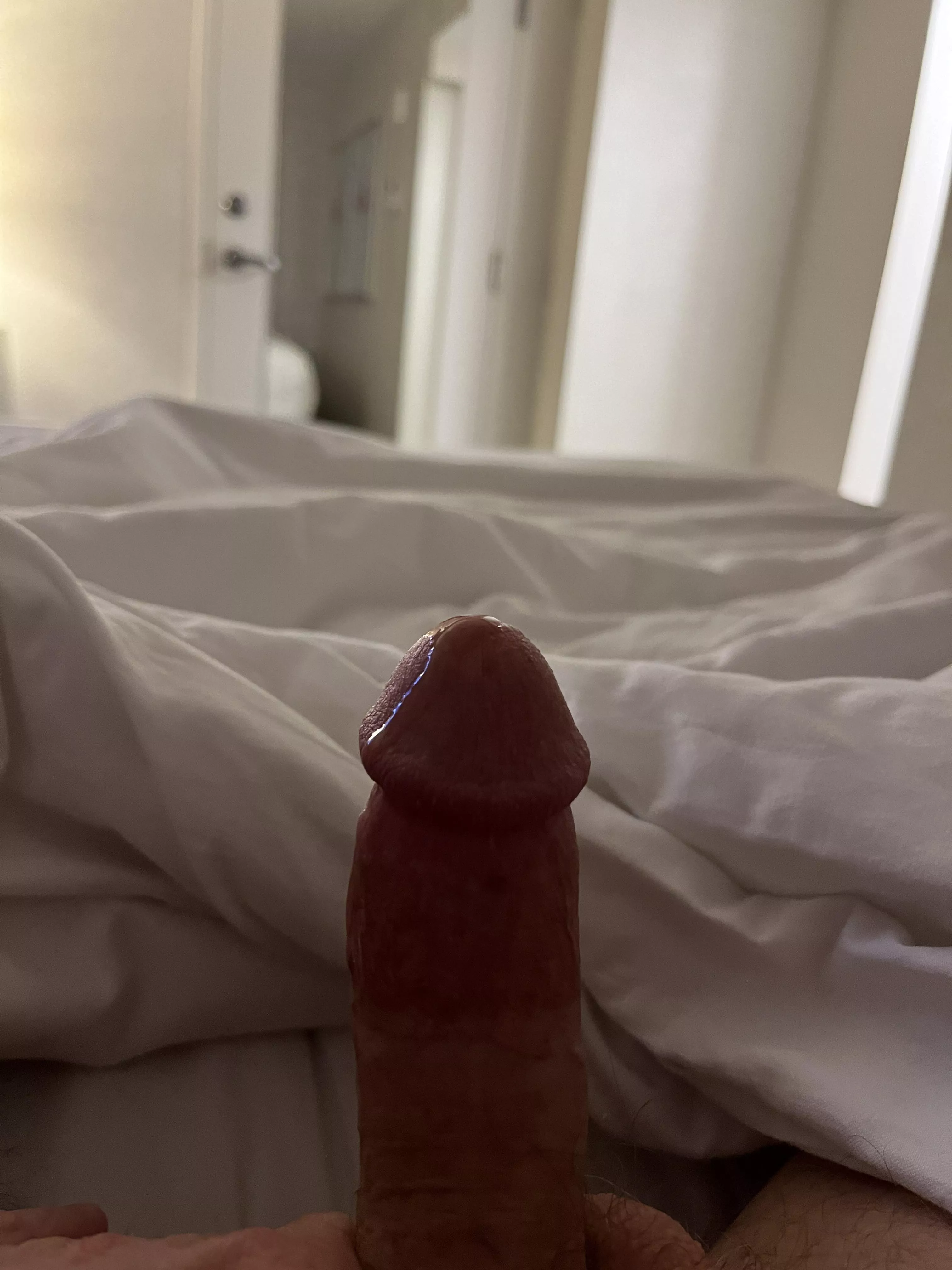 Tastes sweet posted by tyscott0092